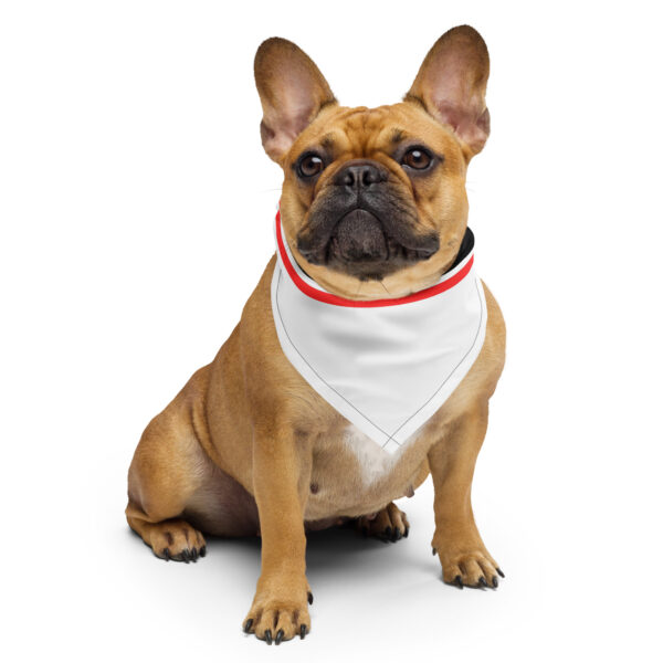 all-over-print-bandana-white-s-front-699f17384ced9.jpg FC Clarens Bandana