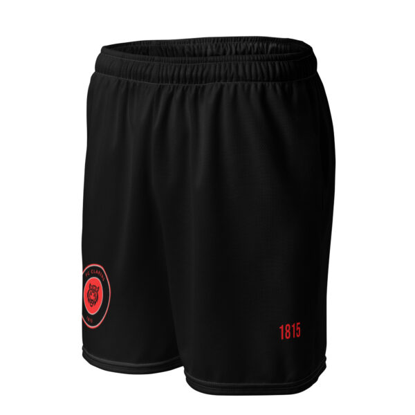 all-over-print-recycled-unisex-mesh-shorts-white-left-front-698b78493a923.jpg FC Clarens - Sport short unisex