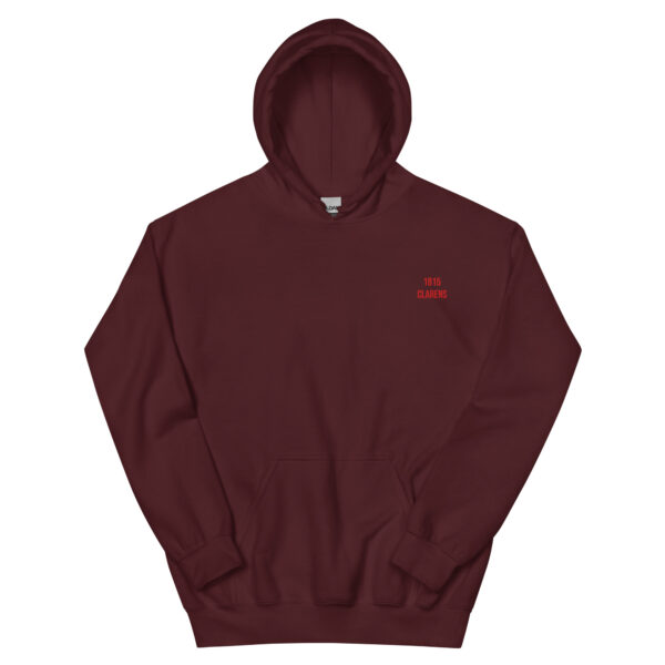 unisex-heavy-blend-hoodie-maroon-front-69989cfd064a2.jpg 1815 Clarens - Unisex Hoodie