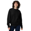 unisex-eco-sweatshirt-black-front-69a59a7878ccf.jpg 1820 - Unisex eco sweatshirt